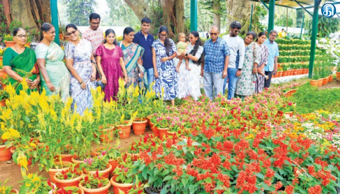 ஏற்காட்டில் நாளை மாலை கோடை விழா துவக்கம்: 3 அமைச்சர்கள் பங்கேற்கின்றனர்