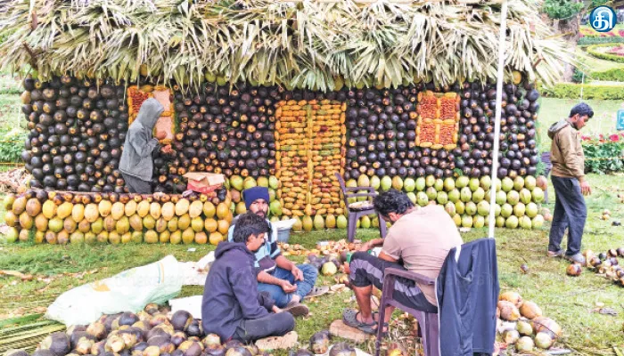 குன்னூர் காட்டேரி பூங்காவில் மலைப்பயிர்கள் கண்காட்சி இன்று துவங்குகிறது