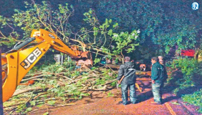 ஏலகிரிமலையில் பலத்த காற்றுடன் மழை: மரம் முறிந்து விழுந்ததால் போக்குவரத்து பாதிப்பு