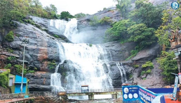 மழை குறைந்தாலும் நீர்வரத்து அதிகரிப்பால் குற்றால அருவிகளில் குளிக்க 6வது நாளாக தடை: சுற்றுலா பயணிகள் ‘செல்பி’ எடுத்து மகிழ்ந்தனர்