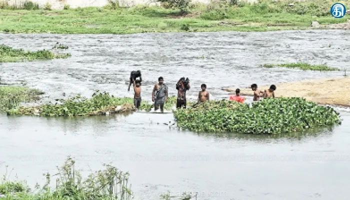 நொய்யல் ஆற்றில் வெள்ளம் ஆபத்தை உணராமல் மீன் பிடித்து விளையாடும் சிறுவர்கள்