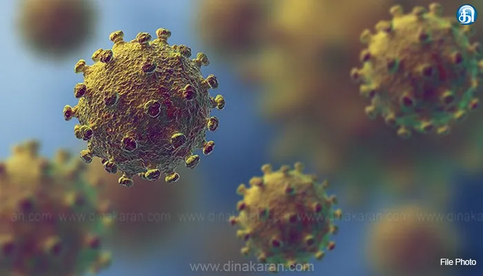 தமிழகத்தில் கொரோனா பாதிப்பில் இருந்து 14 பேர் மீண்டனர்; பொதுமக்கள் அச்சம் கொள்ள வேண்டாம்: சுகாதாரத்துறை தகவல்