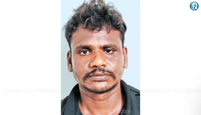 70 வழக்குகளில் தேடப்பட்ட முகமூடி கொள்ளையன் துப்பாக்கி முனையில் அதிரடி கைது