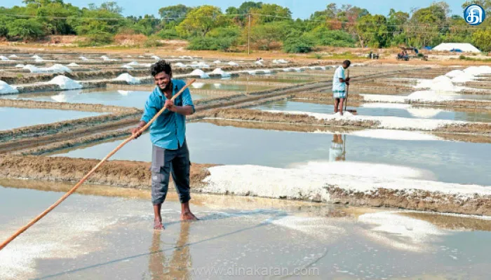 மரக்காணத்தில் உப்பு உற்பத்தி அமோகம்