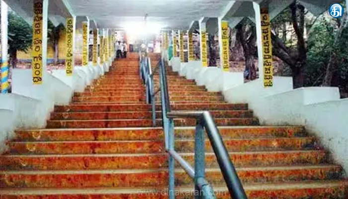 திருப்பதி அலிபிரி நடைபாதையில் வன விலங்குகள் நடமாட்டம்: பக்தர்களுக்கு கட்டுப்பாடு விதிப்பு