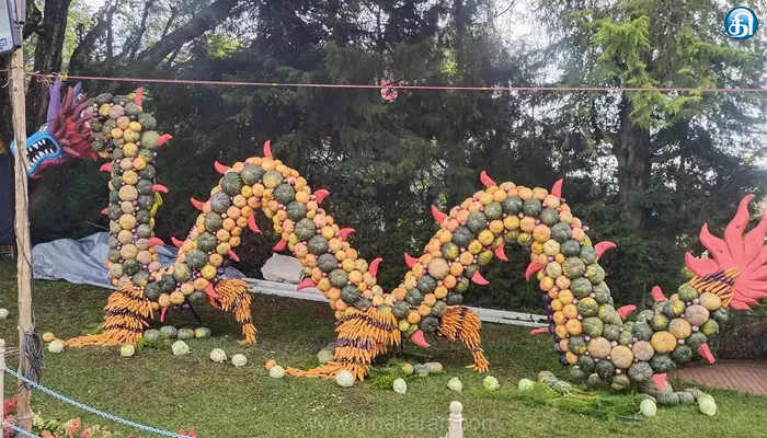 நீலகிரி கோத்தகிரியில் 13வது காய்கறி கண்காட்சி நாளை தொடக்கம்