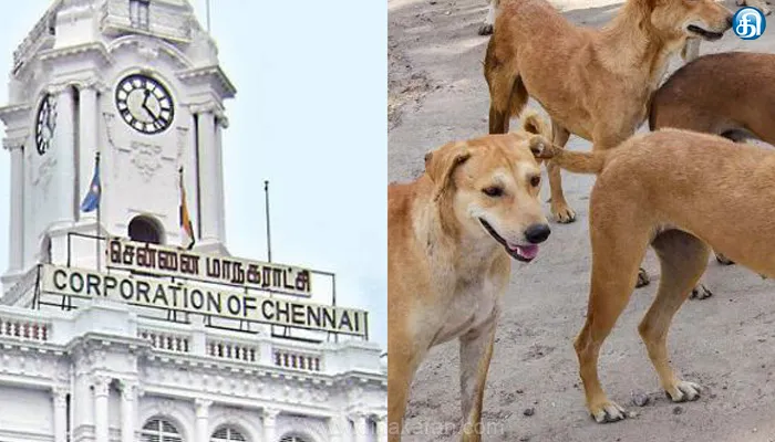 சென்னையில் மேலும் 10 இடங்களில் தெருநாய் இனக் கட்டுப்பாடு மையம்: மாநகராட்சி தகவல்