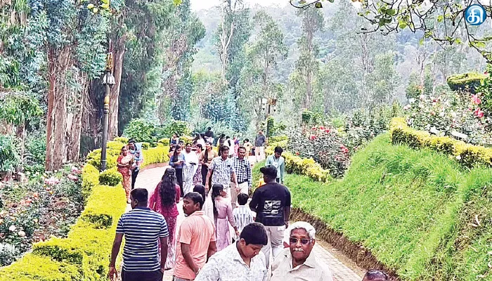 கொடைக்கானல் அப்சர்வேட்டரி பகுதியில் பூத்துக் குலுங்கும் பல வண்ண ரோஜாக்கள்: போட்டோ, செல்பி எடுத்து மகிழும் சுற்றுலாப் பயணிகள்