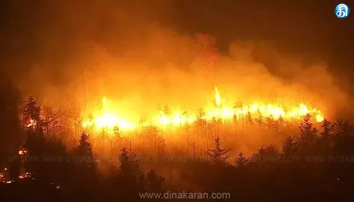 இஸ்ரேலில் பல்வேறு நகரங்களில் காட்டுத்தீ பரவி வருவதால் அவசாநிலை அறிவிப்பு