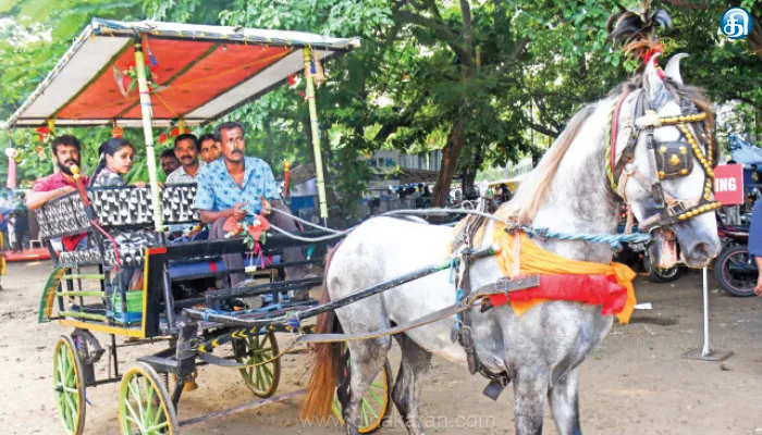 பாலக்காடு ஸ்டேடியம் பஸ் ஸ்டாண்டு அருகே ‘எனது கேரளம்’ அரசு பொருட்காட்சியில் குதிரை சவாரி, தீயணைப்பு விளக்கம்