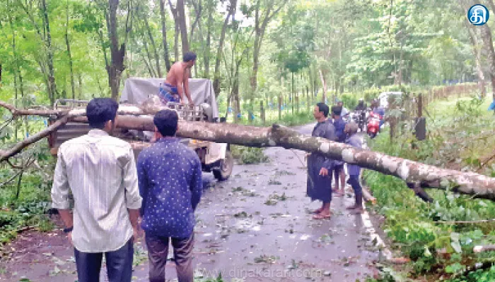 குமரியில் கனமழைக்கு மேலும் 18 வீடுகள் சேதம்: அணைகளுக்கு நீர்வரத்து அதிகரிப்பு