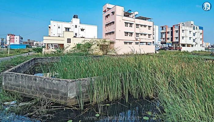 நீர் நிலை ஆக்கிரமிப்புகளை அகற்ற நடவடிக்கை எடுக்காத அதிகாரிகளின் செயல்களை பொறுத்துக் கொள்ள முடியாது : ஐகோர்ட்
