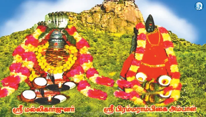 பர்வதமலை ஸ்ரீ பிரம்மாம்பிகை சமேத ஸ்ரீ மல்லிகார்ஜுன சுவாமி