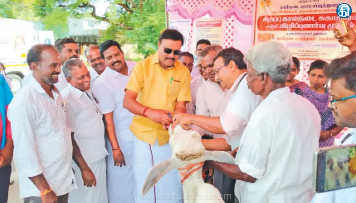 கால்நடைகளுக்கு சிறப்பு மருத்துவ முகாம்