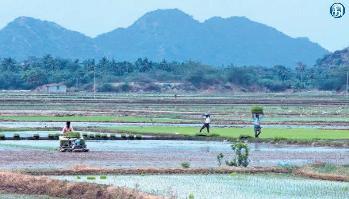 கூலி ஆட்கள் தட்டுப்பாட்டை போக்க இயந்திர நடவுக்கு மாறும் விவசாயிகள்