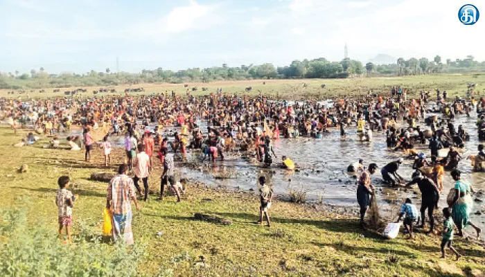 மேலூர் அருகே மீன்பிடி திருவிழாவில் வலைகளில் பாம்புகள் சிக்கியதால் பரபரப்பு