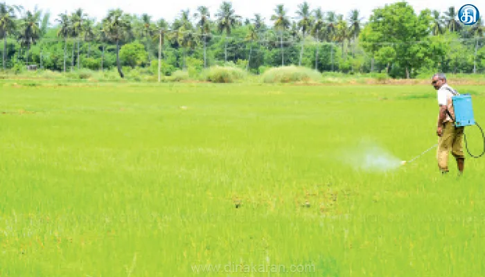 திருவாரூர் மாவட்டம் குறுவை சாகுபடி பணியில் விவசாயிகள் மும்முரம்