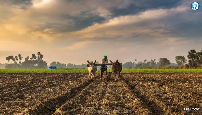 விவசாயிகளுக்கான ஏற்றுமதி நடைமுறைகள் குறித்த 3 நாள் இலவச பயிற்சி: தமிழ்நாடு அரசு