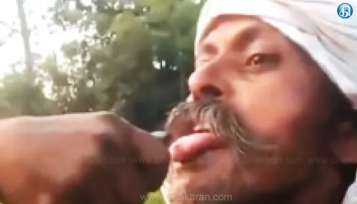 ரீல்ஸ் ஆசையில் பாம்புடன் விளையாட்டு விவசாயி மருத்துவமனையில் அட்மிட்