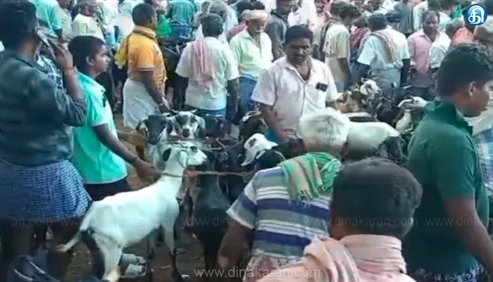 மேலூர் வாரச்சந்தையில் ரூ.1 கோடிக்கு ஆடுகள் விற்பனை..!!