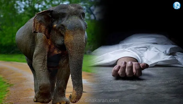 யானை தாக்கி இறப்போரின் இழப்பீட்டு தொகையை உயர்த்துக: ராமச்சந்திரன் எம்எல்ஏ