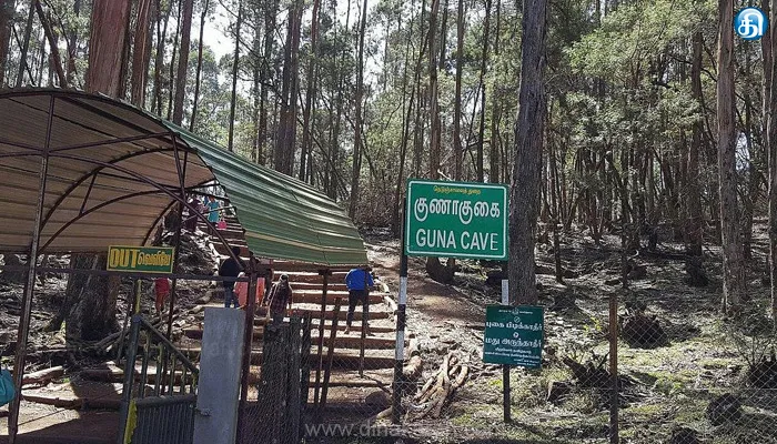 யானை நடமாட்டம்-கொடைக்கானலில் சுற்றுலா தலம் மூடல்