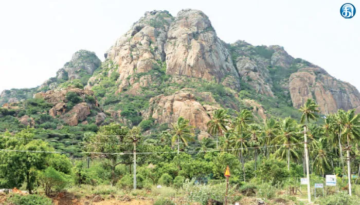 அரிய வகை மூலிகைகள் நிறைந்த மருந்துவாழ்மலையில் சித்தா மூலிகை பண்ணை அமைக்கப்படுமா?