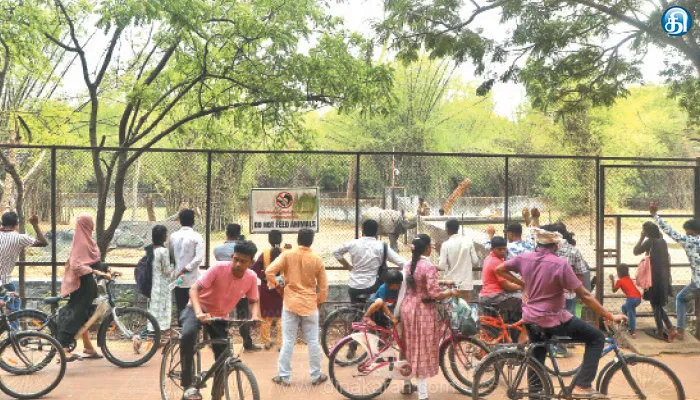 கோடை விடுமுறையையொட்டி வண்டலூர் உயிரியல் பூங்காவிற்கு 3 லட்சம் பார்வையாளர்கள் வருகை: பூங்கா நிர்வாகம் தகவல்