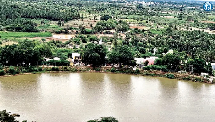 srivlliputhur, Ponds