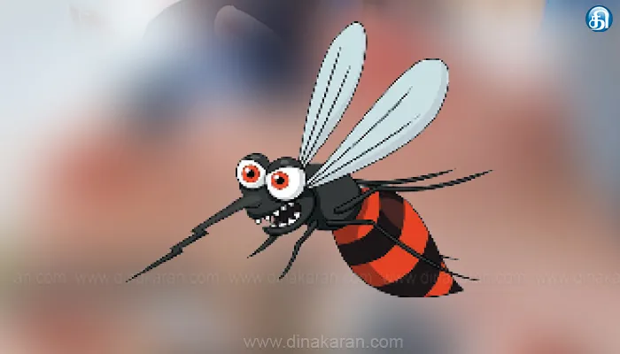 பம்மல் சுற்றுவட்டார பகுதிகளில் கொசு தொல்லையால் பொதுமக்கள் அவதி
