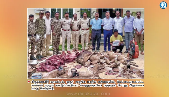 ஓசூர் அருகே மாநில எல்லையில் மான்கள், காட்டுப்பன்றியை வேட்டையாடிய நபர் கைது