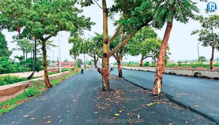 பீகாரில் ரூ.100 கோடியில் நடந்த கூத்து மரங்களை வெட்டாமல் அமைக்கப்பட்ட சாலை: வாகன ஓட்டிகள் பீதி