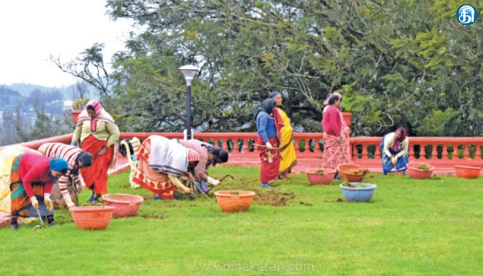 ஊட்டியில் தமிழகம் மாளிகை பூங்கா புல் மைதானம் சீரமைக்கும் பணி