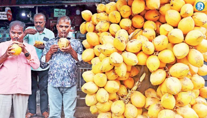 ஒரு கிலோ தேங்காய் ரூ.80க்கு விற்பனை; நெல்லையில் இருந்து குமரிக்கு வரும் இளநீர்: சிவப்பு இளநீர் ரூ.35க்கு விற்பனை