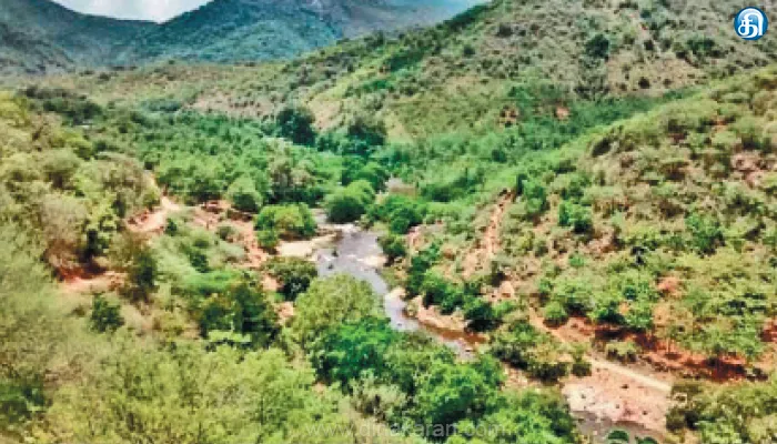 Moola vaigai, Theni